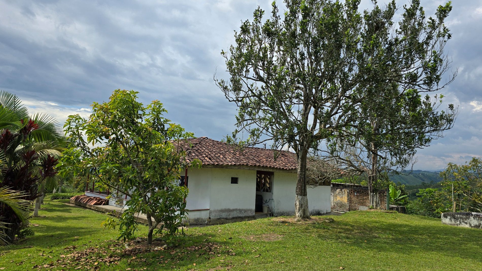 Casa