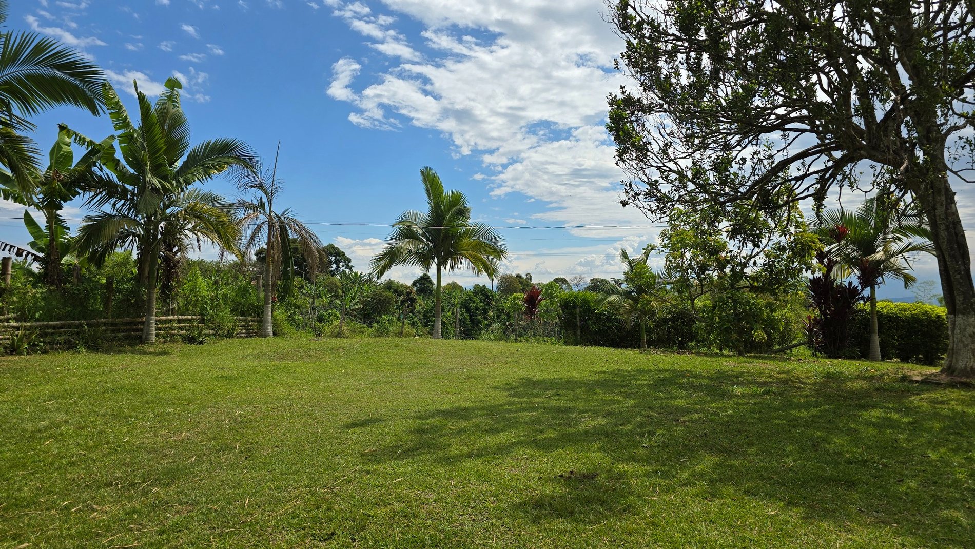 Jardines